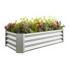 Metal Raised Garden Bed, Rectangle Raised Planter 4√ó2√ó1ft for Flowers Plants, Vegetables Herb Silver