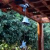 Japanese Cast Iron Wind Chimes Clear Sound Hummingbird Wind Chimes Room Balcony Metal Hanging Door Ornaments