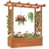 43.5*17.5*44.5 In Fir With Arched Lattice Raised Garden Bed Wooden Planting Frame Teak Color