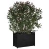 Garden Planter Black 39.4"x19.7"x27.6" Solid Wood Pine