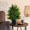 2-Pack Artificial Cedar Topiary Ball Tree with Cement Pot