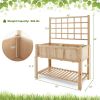 Raised Garden Bed Elevated Wooden Planter Box with Trellis