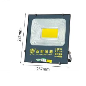 Yameen Led Projection Light COB Floodlight (Option: COB100w)