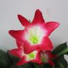 Lily Flower Multi-Color Changing LED Solar Garden Lights