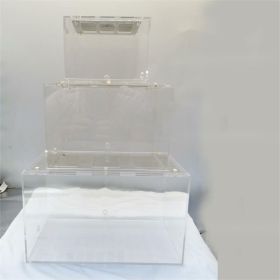 The Ant Nest Is Connected With An Acrylic Activity Box (size: medium)