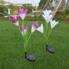 Lily Multi-Changing LED Lights - Solar Garden Stake Lights