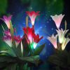 Lily Flower Multi-Color Changing LED Solar Garden Lights