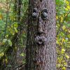 1pc Funny Tree Faces Decor, Old Man Tree Face Decoration, Yard Art